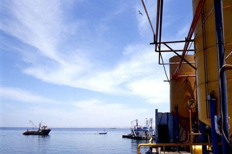 Åpner anchovetas-fiske på 2,6 millioner tonn torsdag