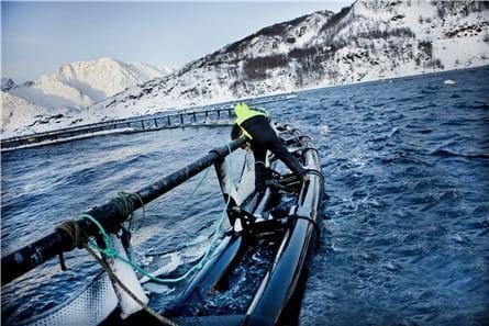 Rullerer aksjeblokk i Grieg Seafood