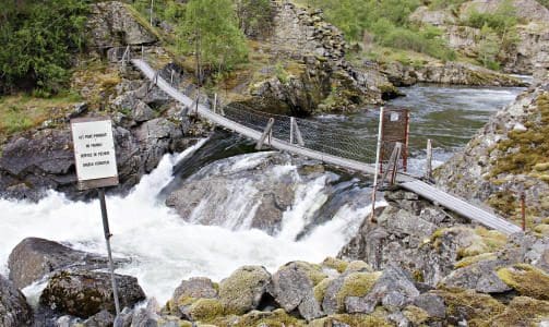 Nye laksemillioner til lakseelvene