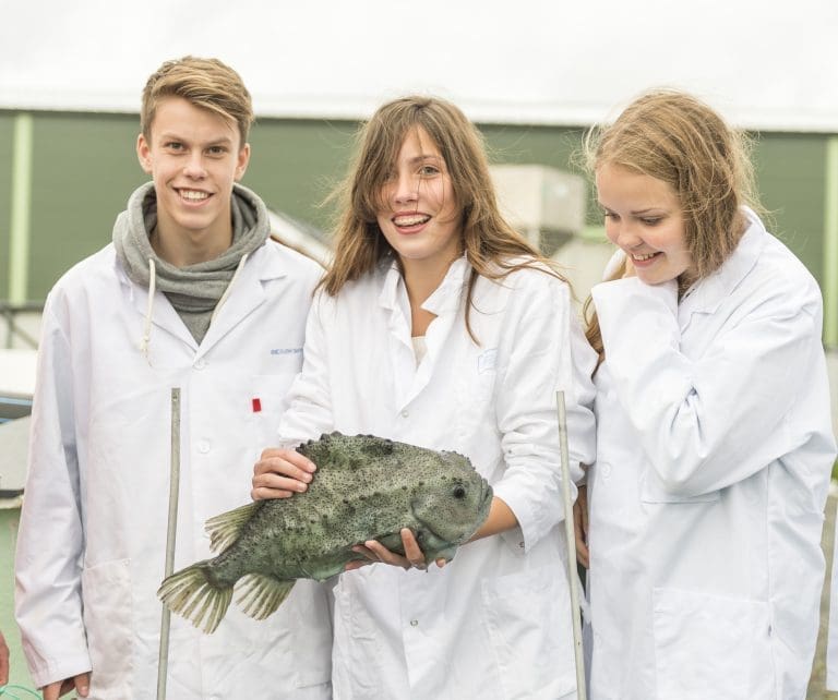 Tredobler på oppdrettet rensefisk