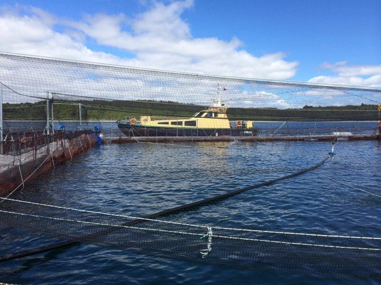 Beslagla 1,5 millioner laks