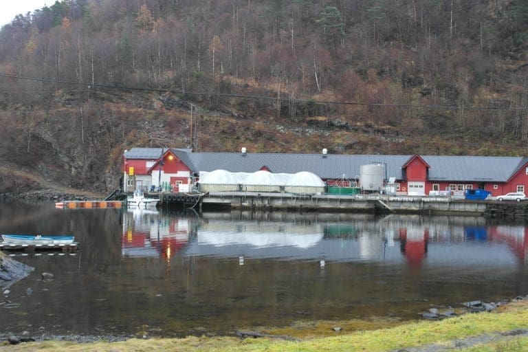 Bolaks økte med over 60 millioner