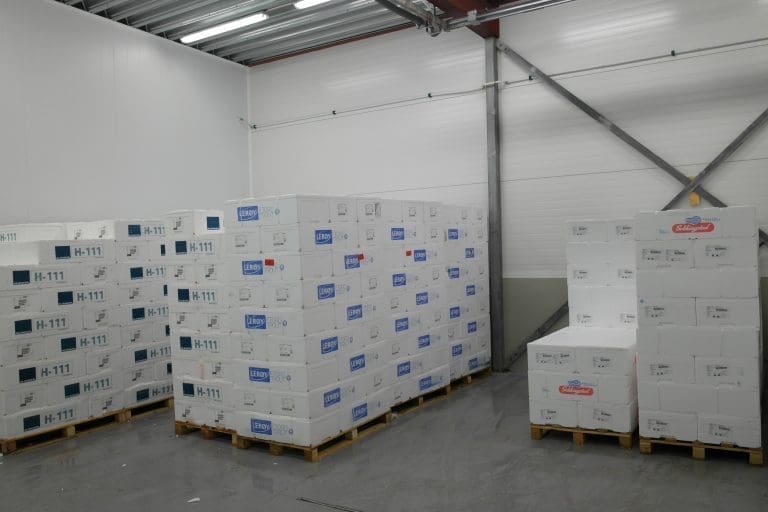 Vikenco styrer unna Russland