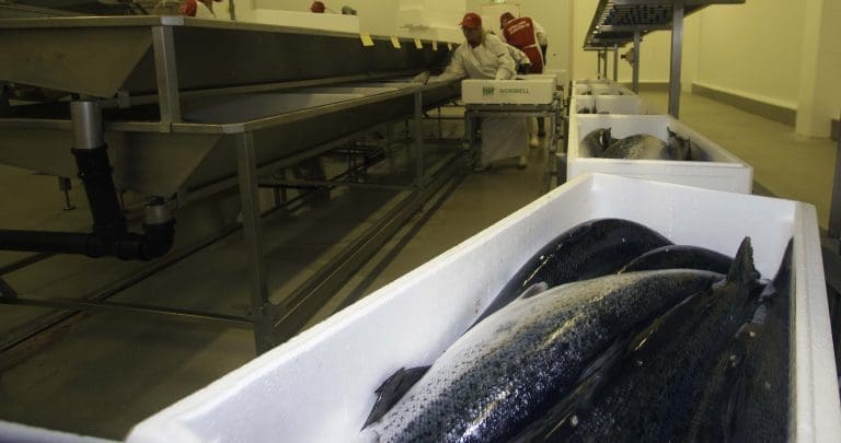 Vartdal Plast kjøper resten av K-Plast
