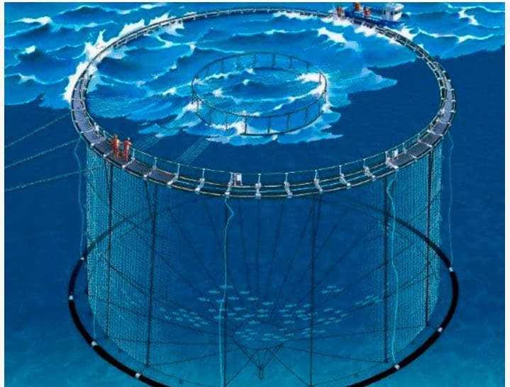 Aqualine vil ikke kommentere Ocea-interesse