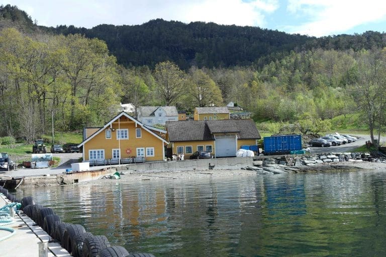 ILA-påvisning i Kvinnherad