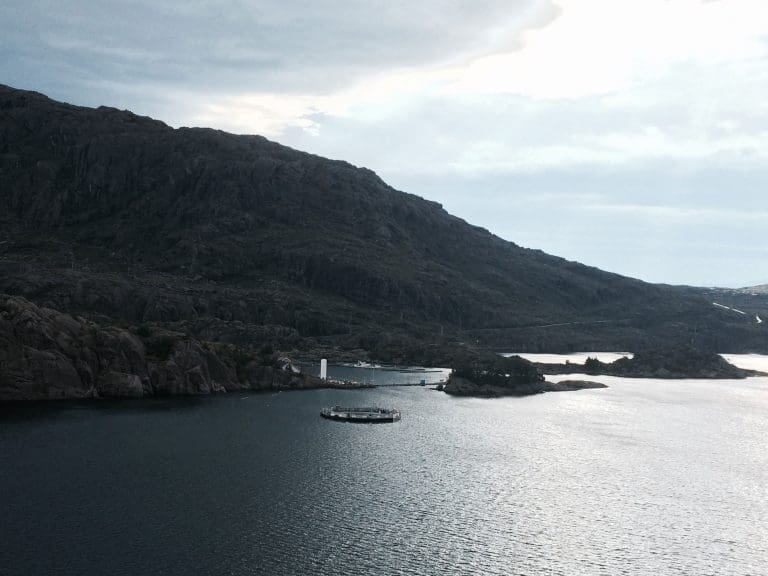 Reirplass for sjøfugl kan stoppe Sulefisk