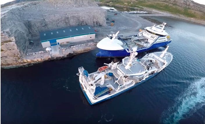 Slik bruker Marine Harvest ferskvann for avlusing
