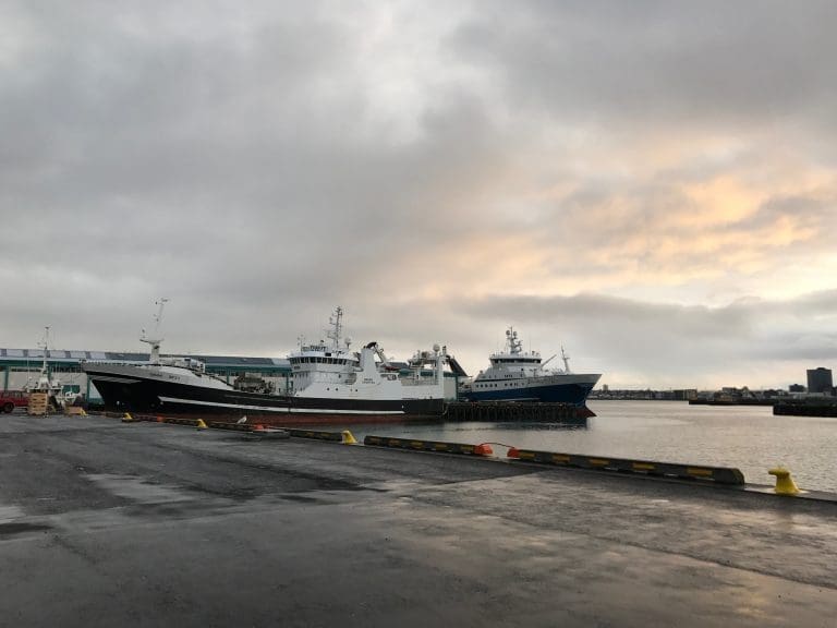 Norske selskaper sentrale i ny internasjonal allianse for miljøvennlig global sjømatproduksjon