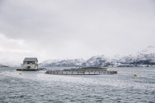 Legger 15 kilometer med strømkabel ut til oppdrettsanleggene