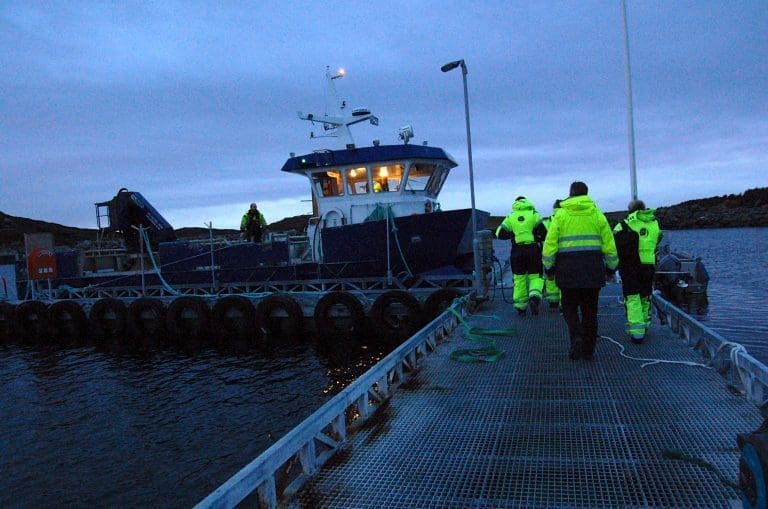 Slik kjempet Marine Harvest seg igjennom lusepresset