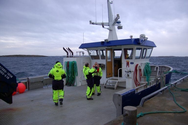 Short-skvis i Marine Harvest
