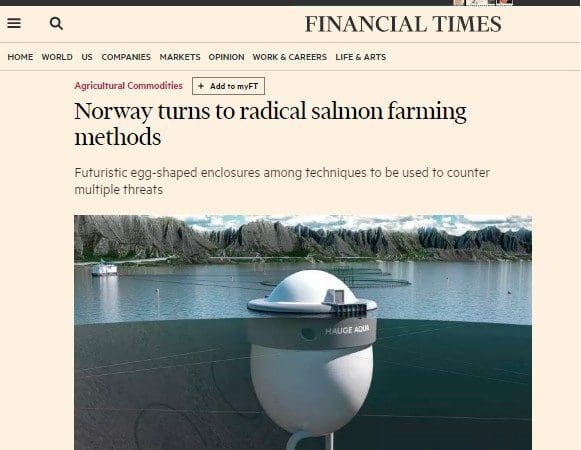 Egget i Financial Times