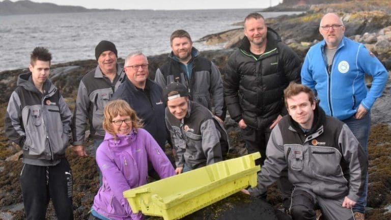 De vil rydde over 2.000 kilometer strandlinje