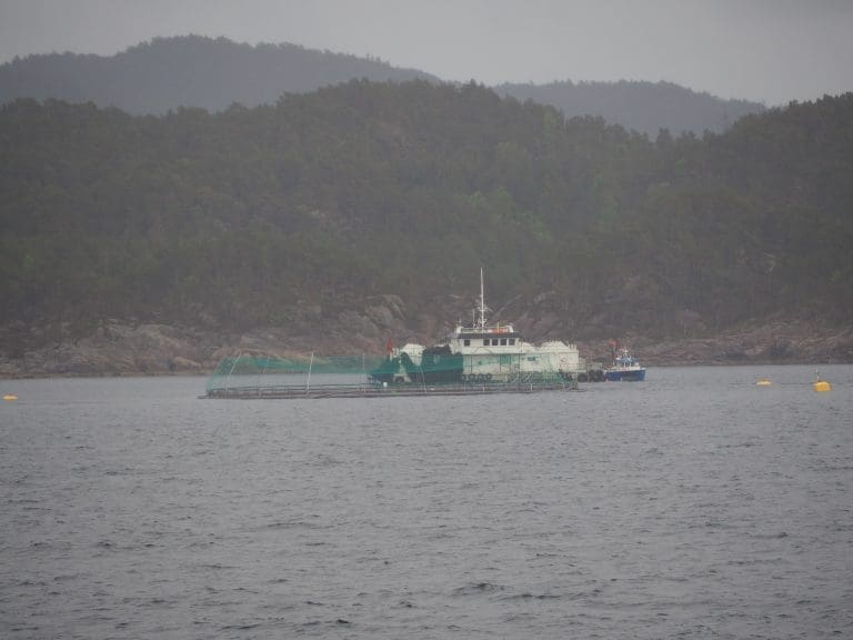 Generasjonsskifte i nord gir store prisavvik i stigende marked