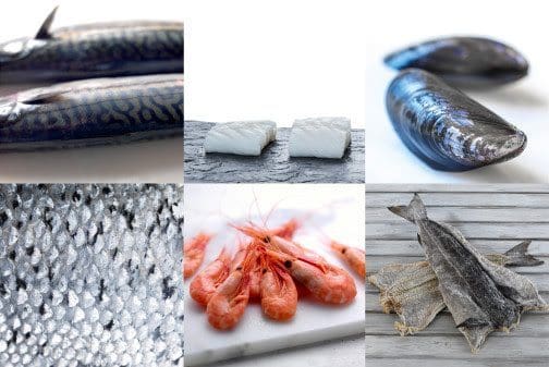Rekordsterkt første halvår for sjømateksporten