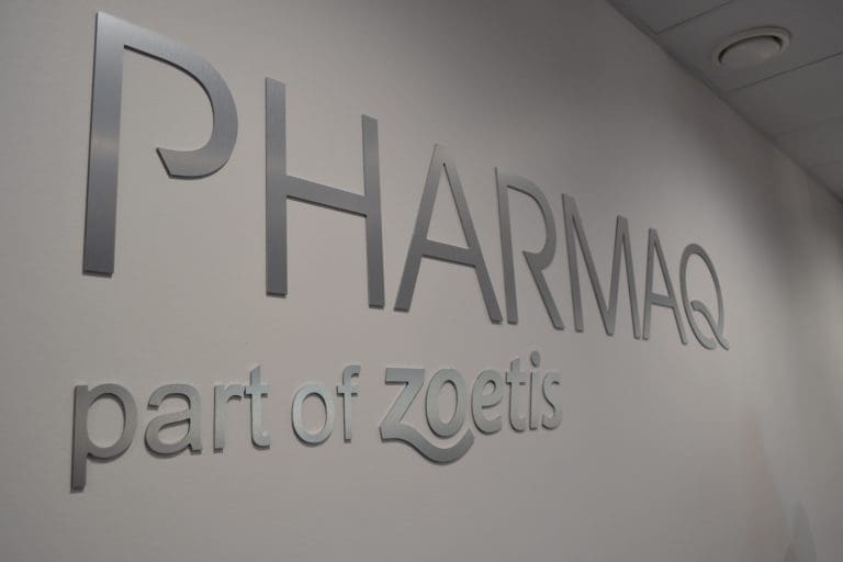 Gullkantede fiskevaksiner: Pharmaq fikk en driftsmargin på 53,6 prosent ifjor