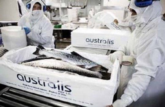 Resultatsmell for Australis i Q1