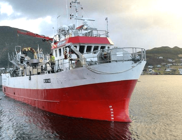Shellsea investerer i ny båt for frakt av rensefisk