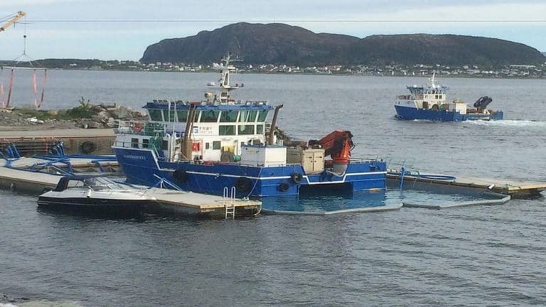 Bygger desinfiseringsflåte for oppdrettsbåter på Hitra – skal hindre smitte mellom anlegg
