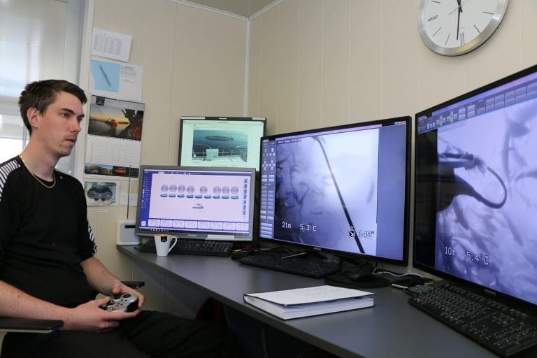 Slik fikk Marine Harvest på Rogne bedre kontroll og mindre lus