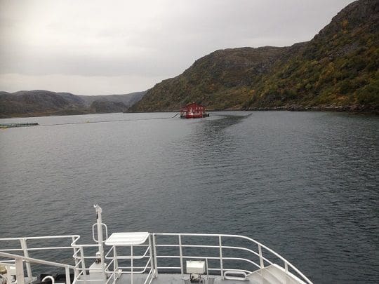 6.881 fisk rømte etter Cermaq-brannen i Finnmark
