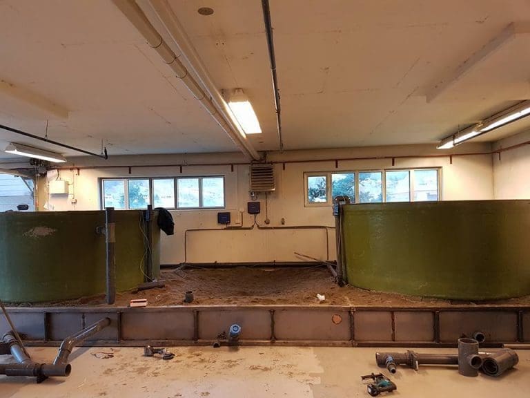 Lotics gror planter på avfallsstoff fra fisk. Nå kan det være slutt:  – Vi var nok kanskje litt tidlig ute