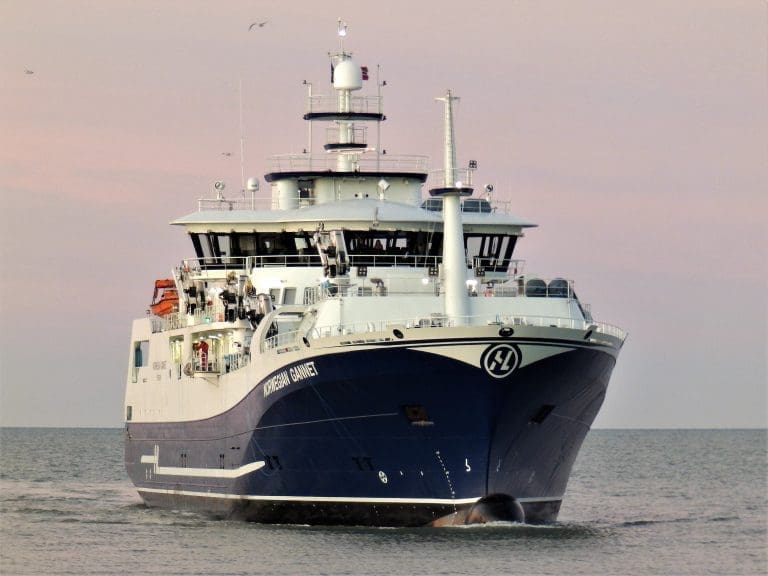 Høy dødelighet for Arnarlax – “Norwegian Gannet” på vei til Island for å hjelpe med utslakting