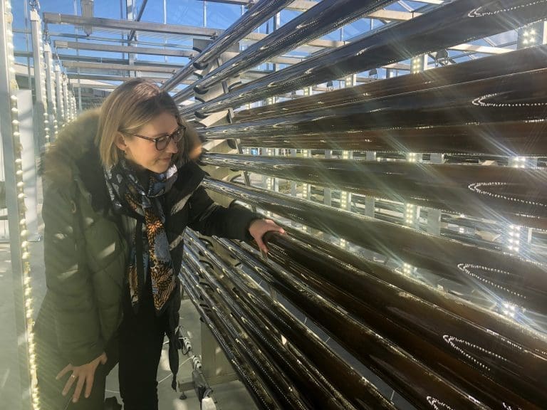 – Vi vil koble flere verdikjeder sammen