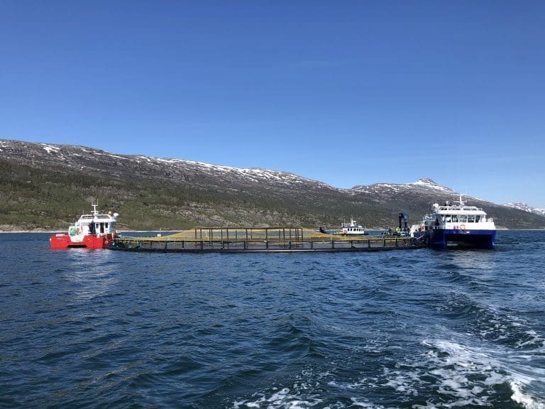Ellingsen Seafood med vellykket evakuering av 260.000 fisk: – Det er absolutt gode nyheter