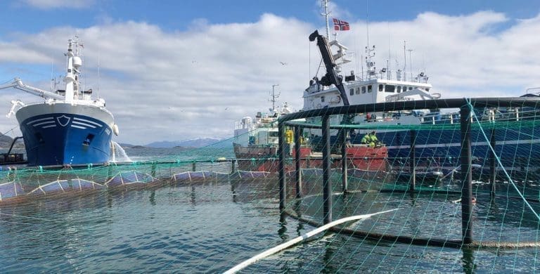 Biologien ødela for Mortenlaks. Gikk i minus like før det ble solgt