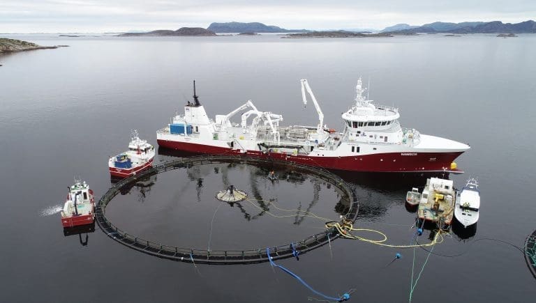 Atlantis Subsea Farming har for første gang satt ut fisk i sin nedsenkbare merd