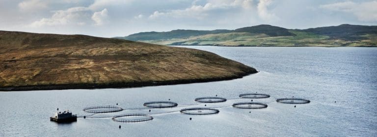 Grieg Seafood vurderer å kvitte seg med virksomheten på Skye