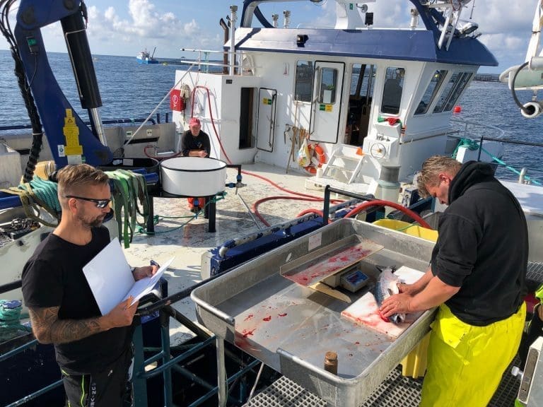 Ny rekord for LetSea – nær dobling av inntektene