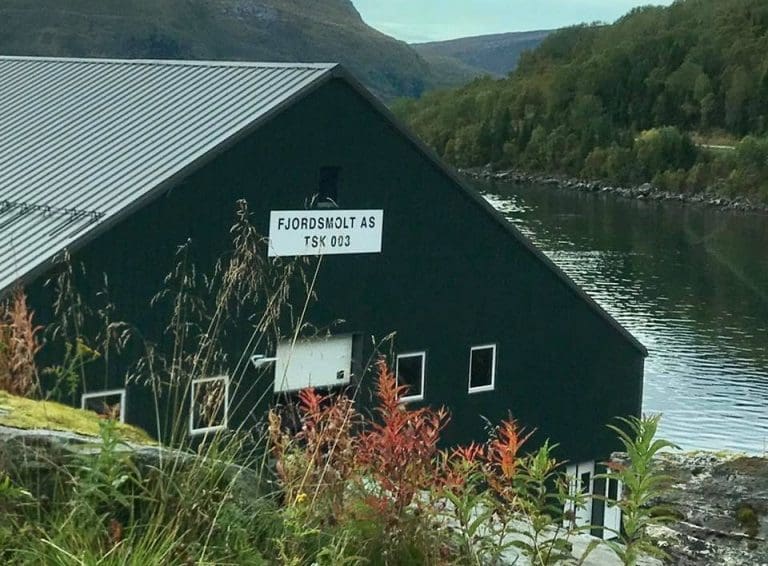 Lakserømmingene: – Fiskeridirektoratet er selvfølgelig ikke fornøyd med utviklingen i år