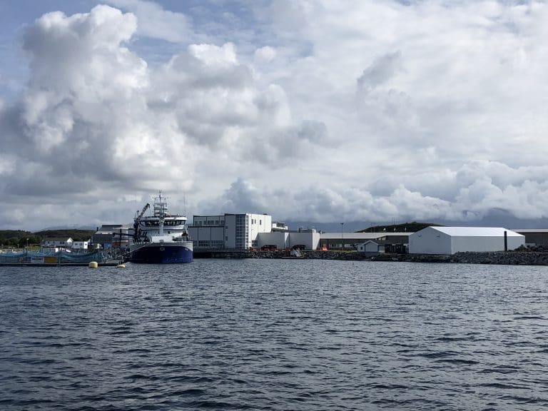Mowi spanderer kvartalsutbytte på 1,3 milliarder kroner