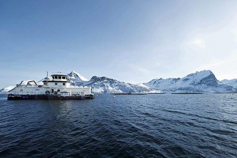500 liter diesel lekket fra SalMar-flåte i Møre og Romsdal