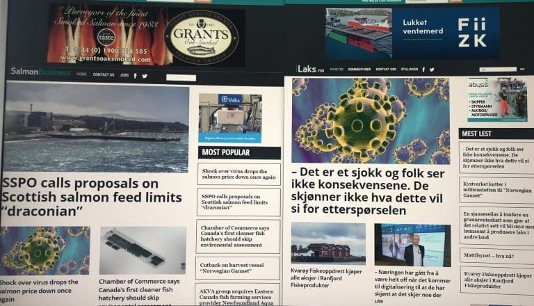 Brennhet start på 2020: Over 200.000 leste iLaks og SalmonBusiness i januar