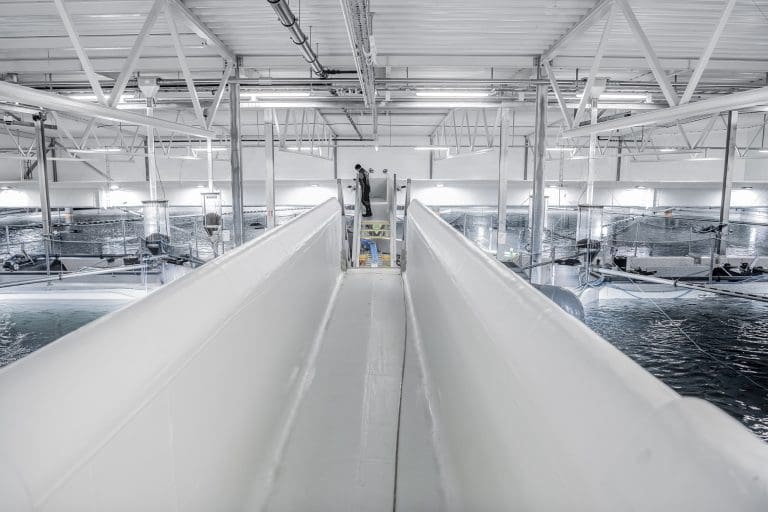 AKVA group signerte kontrakt for 351,9 millioner med Cermaq