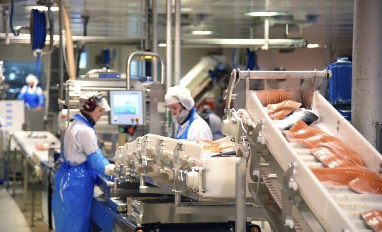 Søkere i kø: SinkabergHansen har 120 ungdommer på sommerjobb