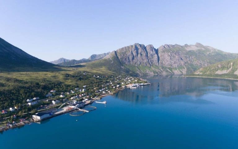 Wilsgård Farming er klargjort for SalMar-overtakelse