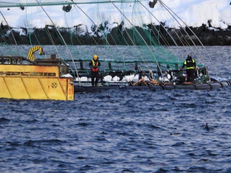 Saftig rekyl for lakseprisen