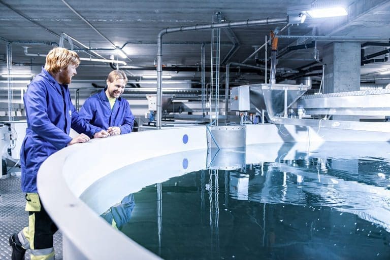 Vil redusere energiforbruket i en voksende RAS-industri