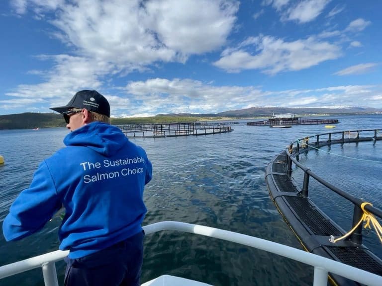 40 prosent fall i resultatet for Wenberg Fiskeoppdrett