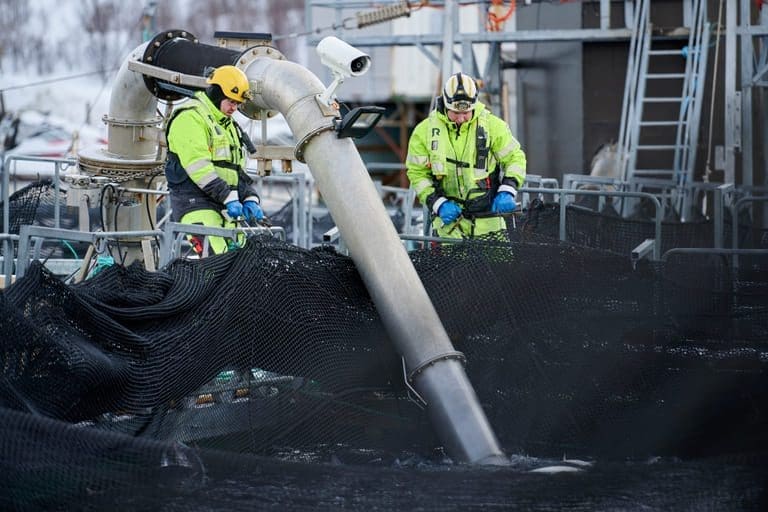 Millionbot etter utslipp av 16.000 liter klor i sjøen