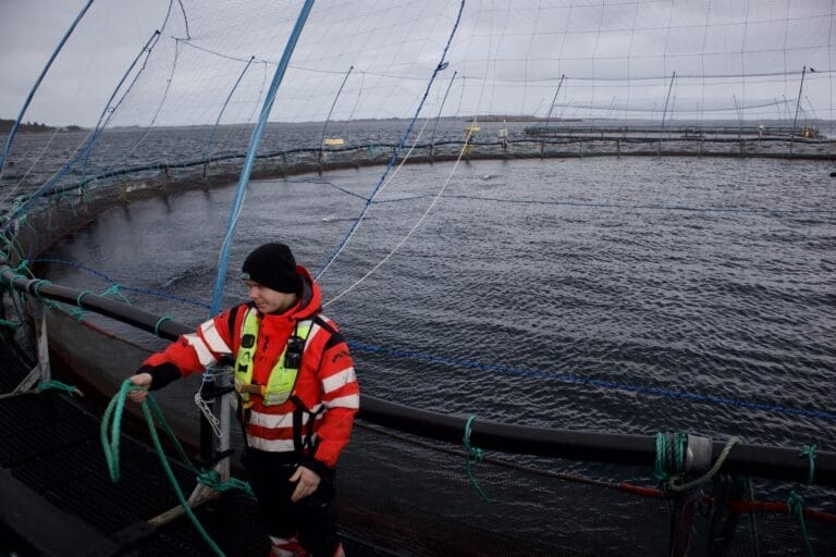 Trøndelag ønsker seg havbruksdirektorat: – En sak av nasjonal betydning