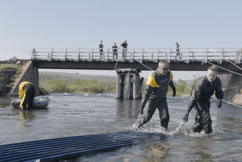 Ny fiskefelle skal stoppe pukkellaks ved Berlevåg