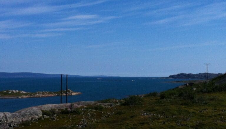 Laks på rømmen i Varangerfjorden