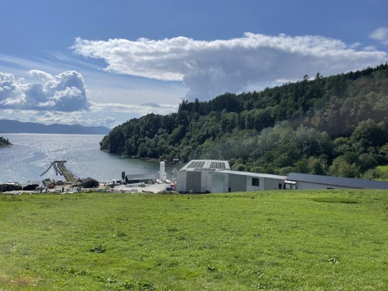 Langøylaks sikret seg 79,1 prosent av BioFish-aksjene – og forlenger budfristen
