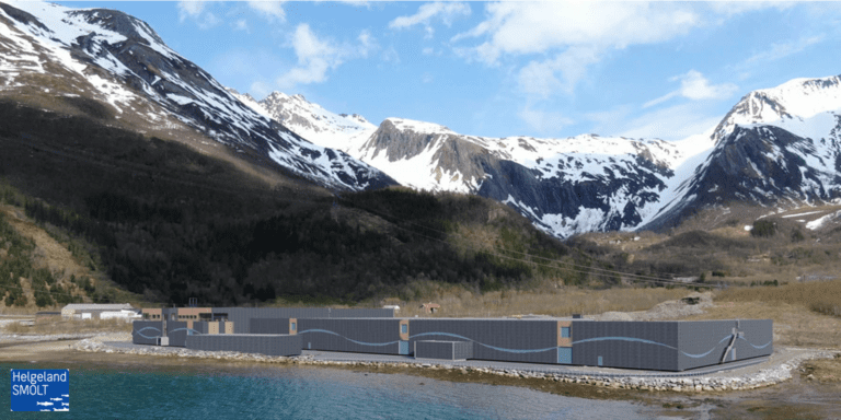 IPC landet tresifret millionkontrakt med Helgeland Smolt
